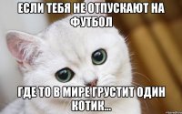 Если тебя не отпускают на футбол где то в мире грустит один котик...