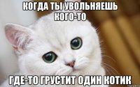 когда ты увольняешь кого-то где-то грустит один котик