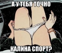 А у тебя точно Калина Спорт?