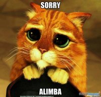 sorry alimba