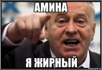 амина я жирный