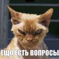  ещо есть вопросы