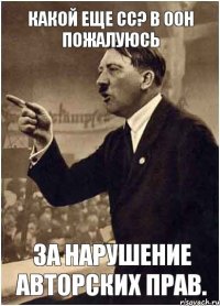 Какой еще СС? В ООН пожалуюсь за нарушение авторских прав.