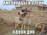 америкацы и олени одной днк