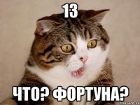 13 Что? Фортуна?