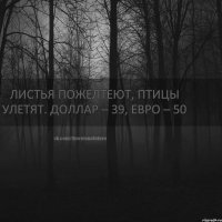 Листья пожелтеют, Птицы улетят. Доллар – 39, Евро – 50