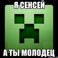 я сенсей а ты молодец