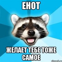 Енот Желает тебе тоже самое