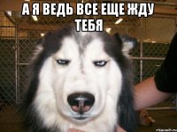 А я ведь все еще жду тебя 