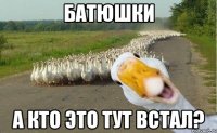 Батюшки А кто это тут встал?