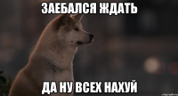 Заебался ждать Да ну всех наХУЙ