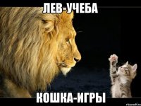 лев-учеба кошка-игры