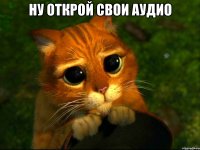 ну открой свои аудио 