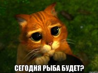  Сегодня рыба будет?