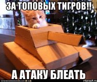 За топовых тигров!! А атаку блеать