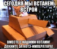 Сегодня мы встанем встрой вместе с нашими котами! Дохните за Котэ-Императора!