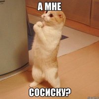 А мне сосиску?