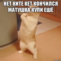 нет ките кет кончился матушка купи ешё 