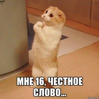  мне 16, честное слово...