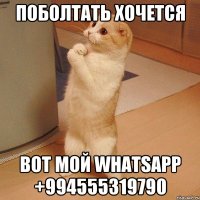 Поболтать хочется Вот мой Whatsapp +994555319790