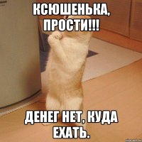 Ксюшенька, прости!!! Денег нет, куда ехать.