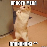 Прости меня Плииииииз ^^