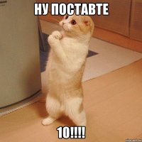 ну поставте 10!!!!