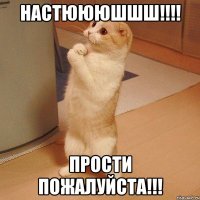 НАСтюююшшш!!!! Прости пожалуйста!!!