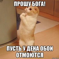 Прошу бога! Пусть у дена обои отмоются