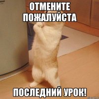 Отмените пожалуйста последний урок!