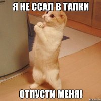 Я не ссал в тапки Отпусти меня!