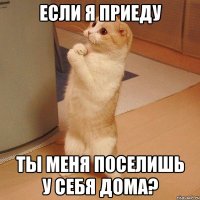 Если я приеду Ты меня поселишь у себя дома?