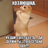 Хозяюшка, ну дай съесть Сета......Да держи ты этого Сета,на ешь!!!