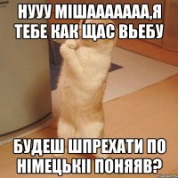 Нууу Мішааааааа,я тебе как щас вьебу будеш шпрехати по німецькіі поняяв?