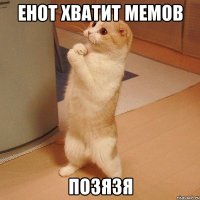 енот хватит мемов позязя