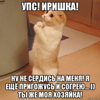 Упс! Иришка! Ну не сердись на меня! Я ещё пригожусь и согрею... )) Ты же моя ХОЗЯЙКА!