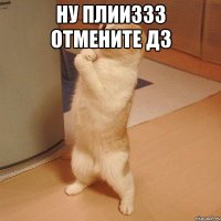 НУ ПЛИИЗЗЗ ОТМЕНИТЕ ДЗ 