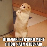  отвечаю не курил мент я под чаем отвечаю