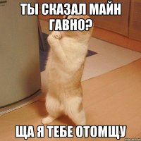 Ты сказал майн гавно? Ща я тебе отомщу