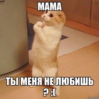 Мама Ты меня не любишь ? :(