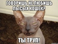 Говоришь не любишь лысых кошек? Ты труп!