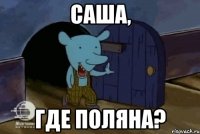 Саша, где поляна?