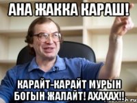 Ана жакка караш! Карайт-карайт мурын богын жалайт! ахахах!!