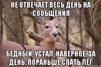 Не отвечает весь день на сообщения Бедный, устал, наверное, за день, пораньше спать лёг