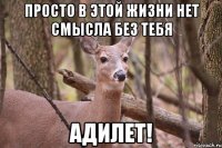 Просто в этой жизни нет смысла без тебя Адилет!