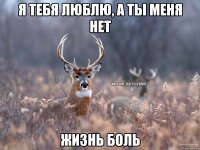 Я тебя люблю, а ты меня нет Жизнь боль