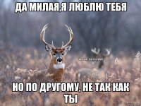 да милая,я люблю тебя но по другому, не так как ты