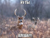 Ну ты Алеша!!!