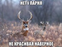 Нету парня Не красивая наверное