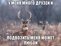 У меня много друзей и подвозить меня может любой